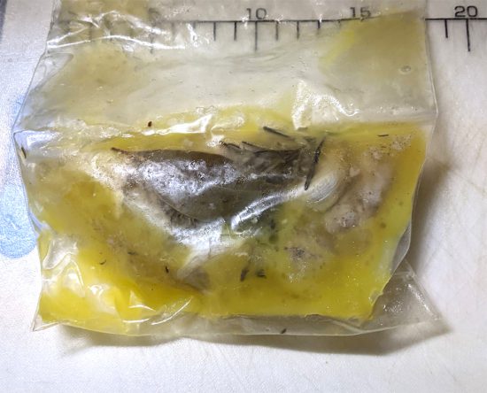 3日掛けた「鶏のコンフィ」